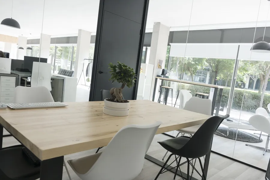 Estudio Hydragrafix 1