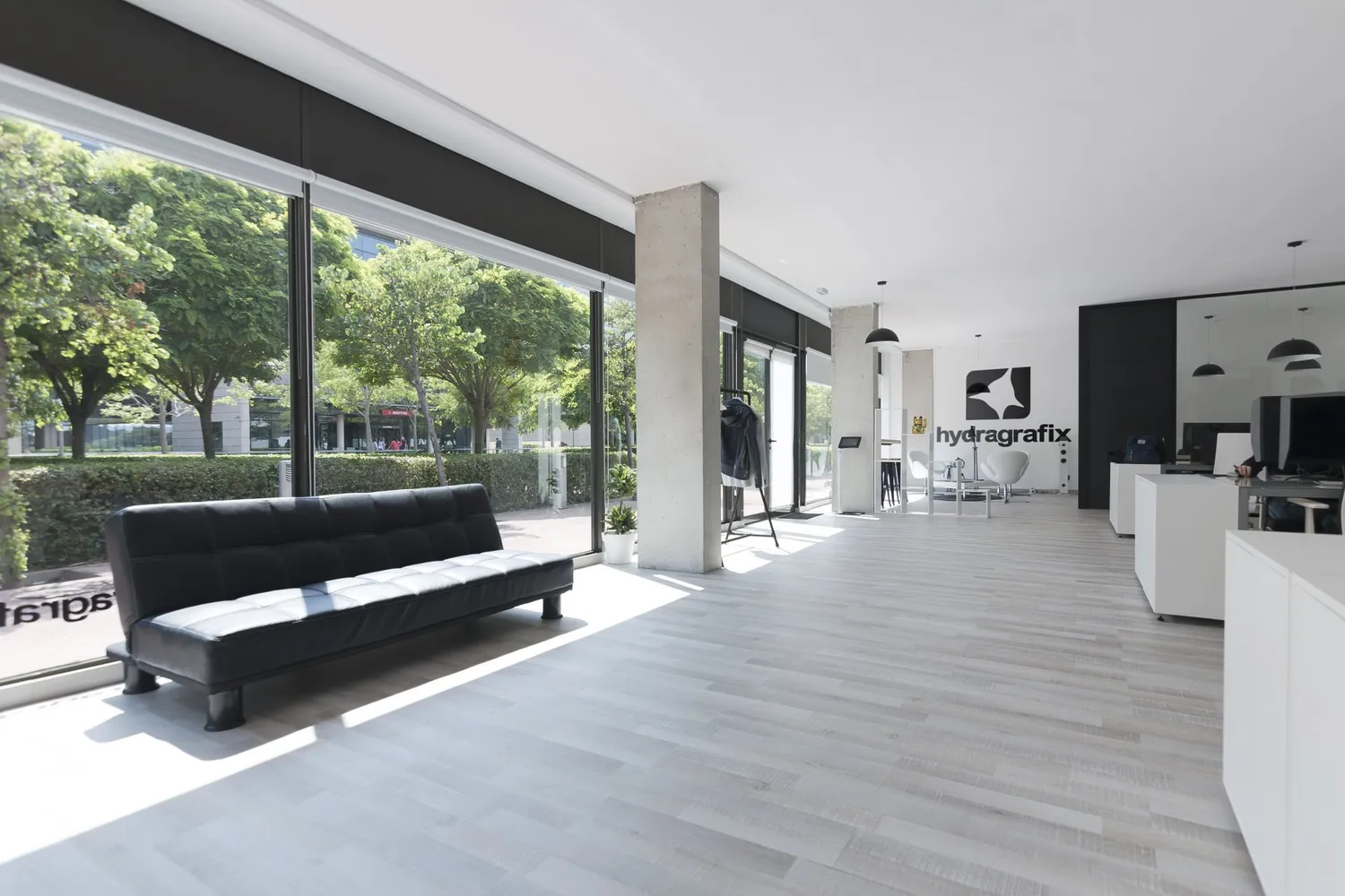 Estudio Hydragrafix 4